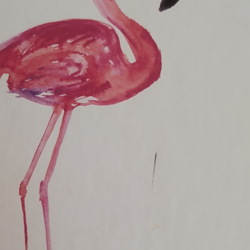 Flamingo Art Print in White Frame - Picture 2 of 2